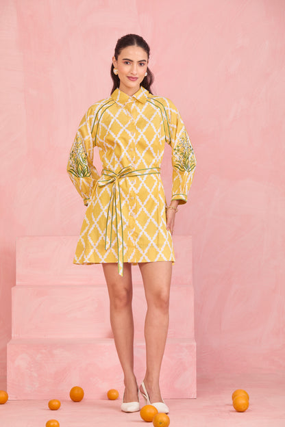 Sunlit Lattice Shirt Dress